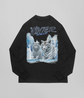 Winter Wonders