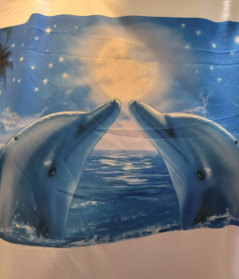Dolphin Love