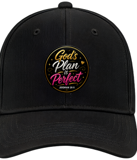 God's Plan Is Perfect
